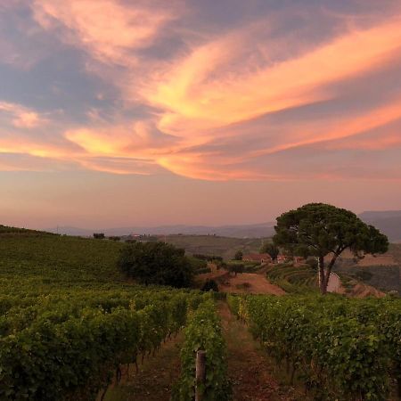 Quinta Dos Espinheiros Villa Provesende Екстериор снимка