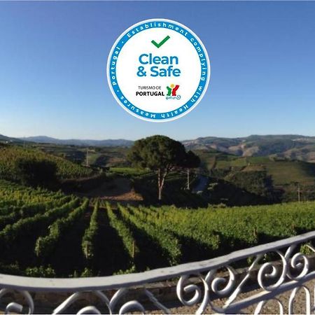 Quinta Dos Espinheiros Villa Provesende Екстериор снимка