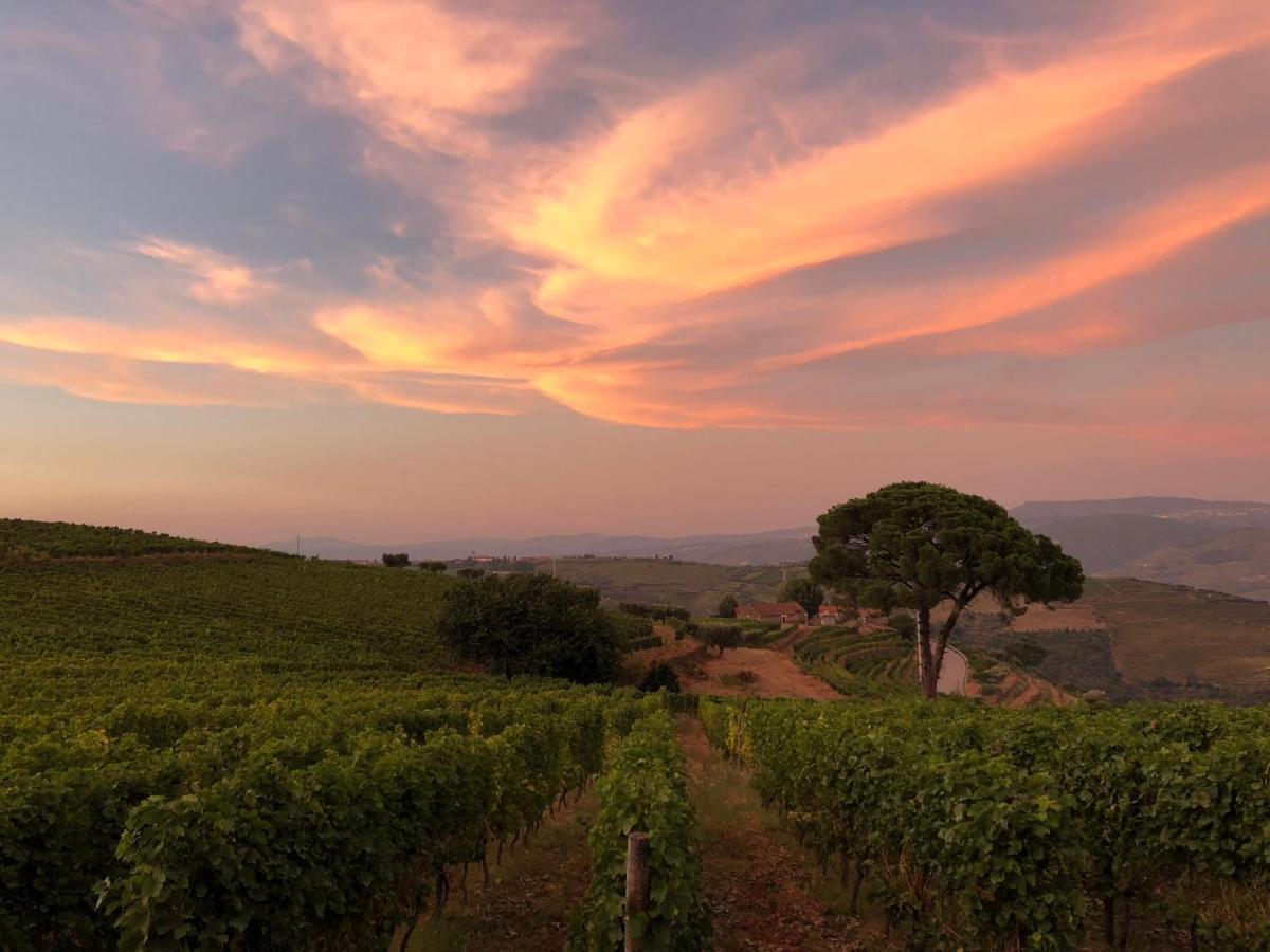Quinta Dos Espinheiros Villa Provesende Екстериор снимка