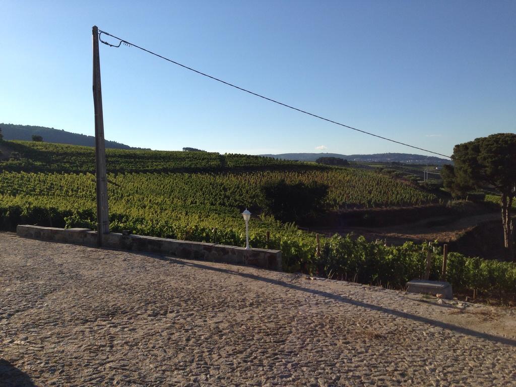 Quinta Dos Espinheiros Villa Provesende Стая снимка