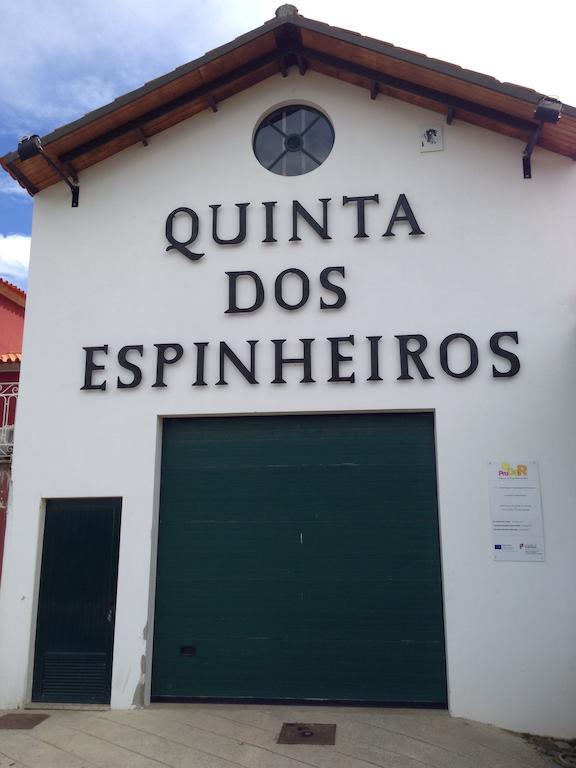 Quinta Dos Espinheiros Villa Provesende Стая снимка