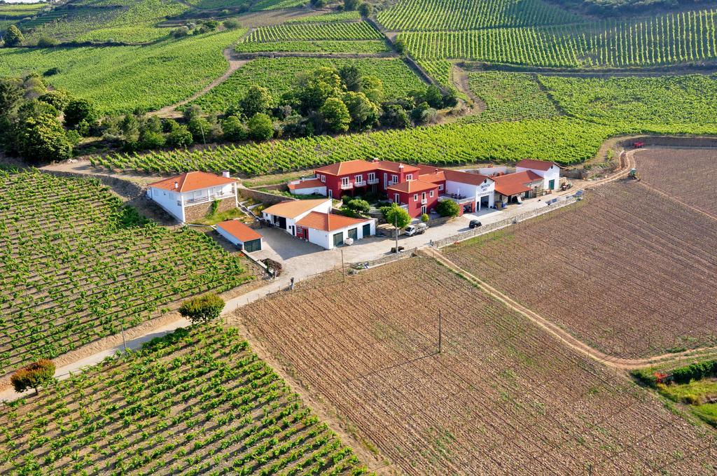 Quinta Dos Espinheiros Villa Provesende Екстериор снимка