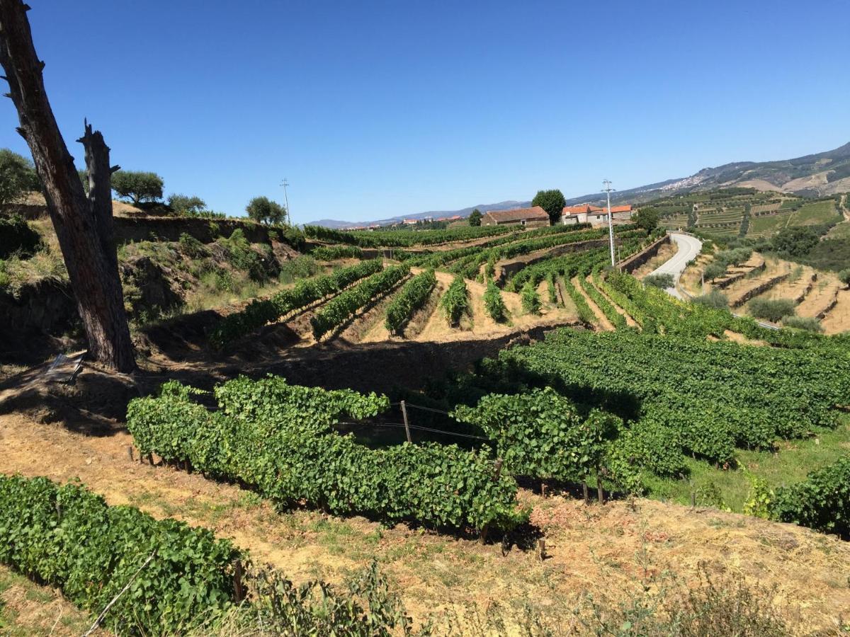 Quinta Dos Espinheiros Villa Provesende Стая снимка